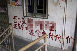 凤县要账公司更多成功案例详情